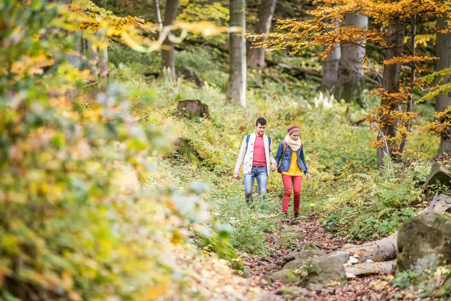 Couple qui marche dans la forêt