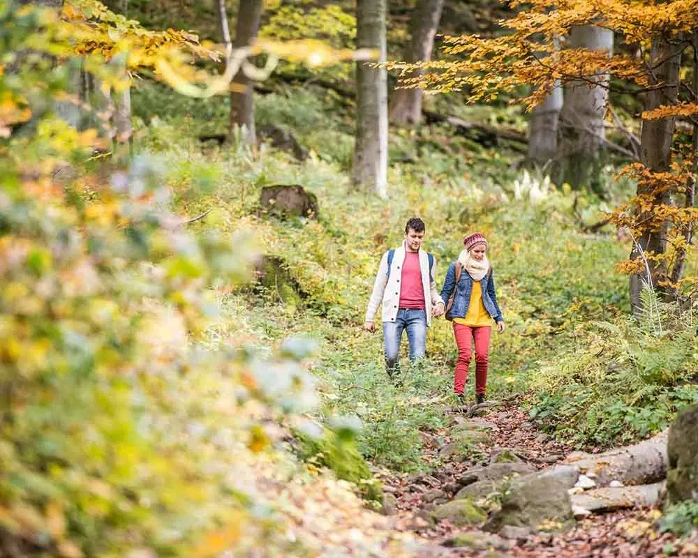 Couple qui marche dans un sentier